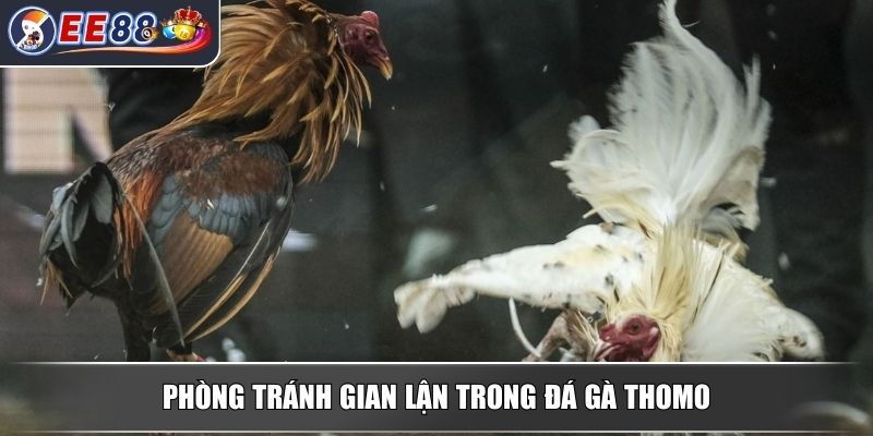 Đá Gà Thomo - Mang Đến Trải Nghiệm Đầy Kịch Tính Hấp Dẫn 4 Phòng tránh gian lận trong đá gà thomo