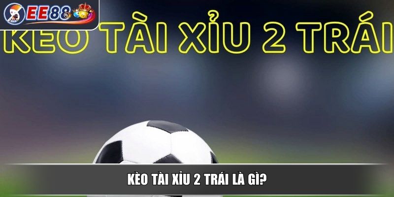 Kèo Tài Xỉu 2 Trái - Tìm Hiểu Chi Tiết Từ Chuyên Gia Cá Cược 2 Kèo tài xỉu 2 trái là gì?