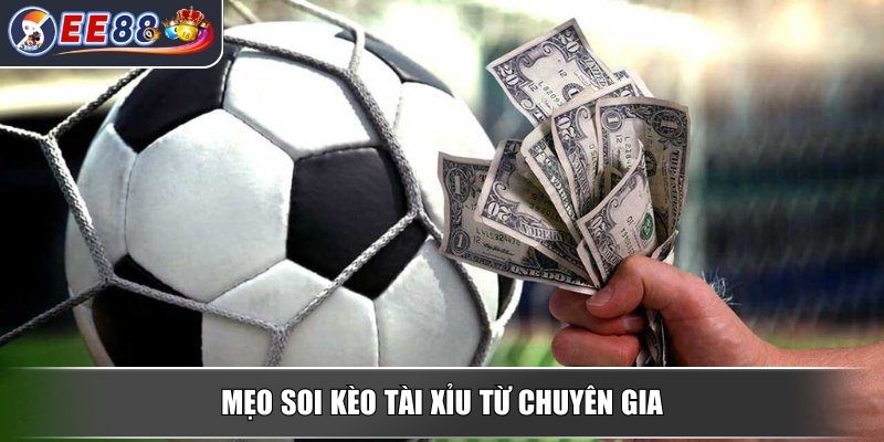 Kèo Tài Xỉu 2 Trái - Tìm Hiểu Chi Tiết Từ Chuyên Gia Cá Cược 4 Mẹo soi kèo tài xỉu từ chuyên gia