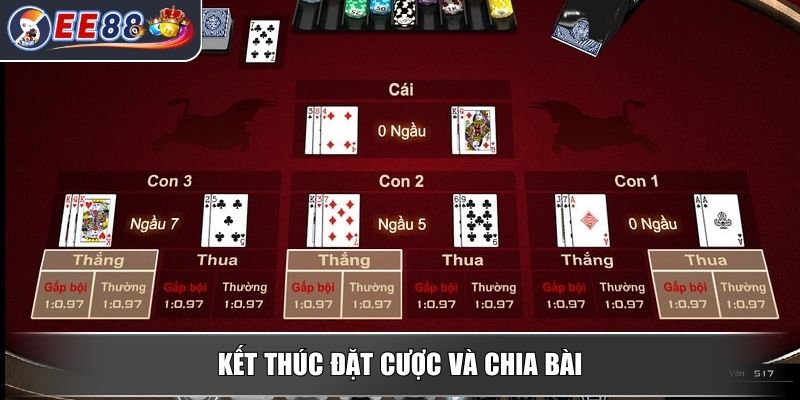 Ngầu Hầm - Hướng Dẫn Cách Chơi Đơn Giản Cho Người Mới 3 Kết thúc đặt cược và chia bài